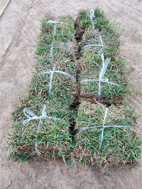 천연잔디 (전남 장성군)부분잔디/20장/롤잔디2장/박스포장/무료배송, 25개