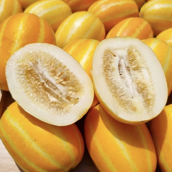 대형마트납품 고당도선별 성주 꿀 참외, 1박스, 고당도 가정용 2kg