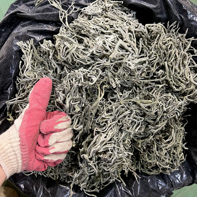 국내산 완도 건조 햇 청각 (최상픔), 1개, 1kg