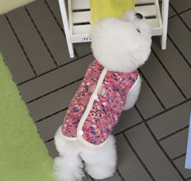 노마브 소형 애견 귀여운 옷, 1개, 블루