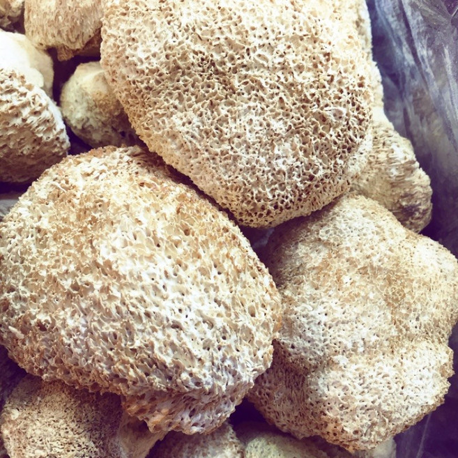 乾燥猴頭菇 半斤/300g, 1個, 300/半斤