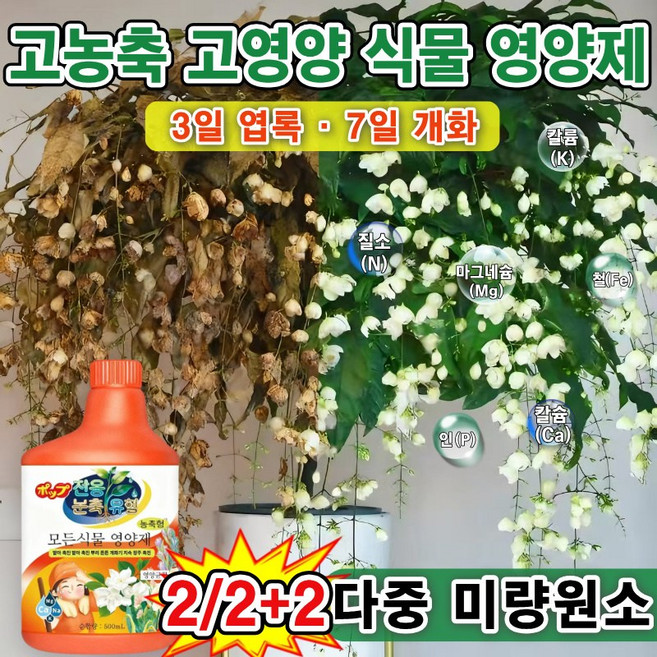 [화초 영양제 +토양활력제]1/1+1화초 영양제 겨울철 가정용 모든 식물영양제 토양 영양제 칼슘 붕소 마그네슘 인 다중 미량원소 병균 예방 치료 식물이 생기를 되찾다, 2개, 500ml