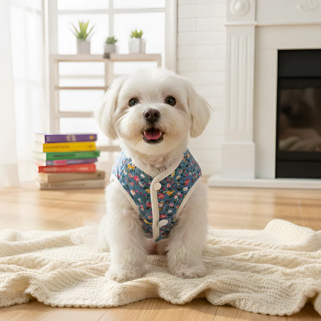 해피조슈아 강아지 김장 누빔 할머니 하네스 조끼, 그랜드 블루, 1개