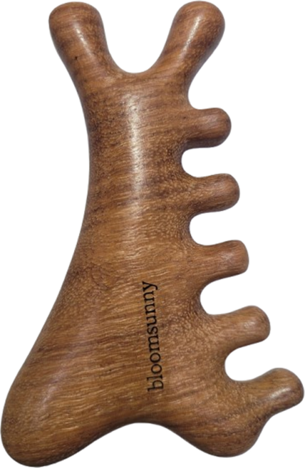 블룸써니 프리미엄 원목 괄사 두피 얼굴 마사지기, 내추럴원목, 1개