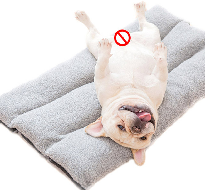 HAKKI 애견침대방석 강아지마약방석 고양이방석 10cm 양면쿠션 방석, 1개