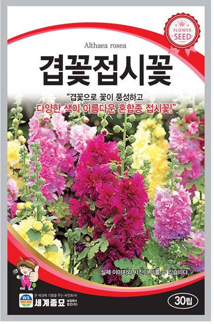 모칸도 (무배)세계 겹꽃접시꽃 꽃씨(30립), 1개