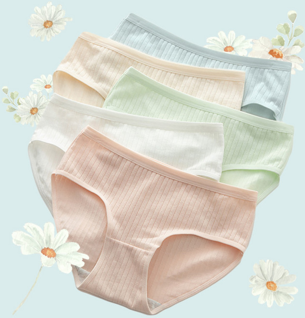 르브니 주니어 심플 요일 팬티 5종세트 사계절 소녀감성 면스판 기본 깔끔 항균