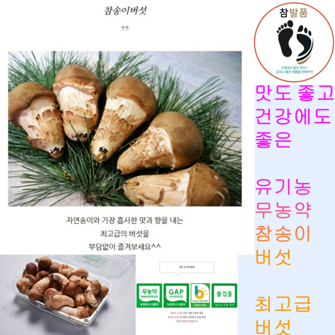 참발품 맛도 좋고 몸에 좋은 유기농 무농약 참송이버섯 국산 500g, 1개, 500