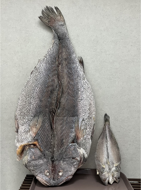 대민어 여수특산품 반건조생선 삼가수산 선물세트 길이90cm 무게5kg (내외) 1kg당 50 000원, 대민어5kg