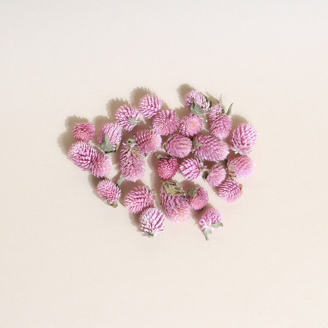 화연양화 프리저브드 드라이플라워 열매 천일홍 8색, 03 핑크베리