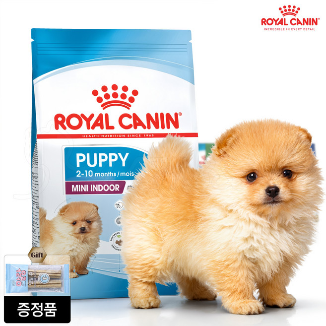 로얄캐닌 미니 인도어 퍼피 1.5kg + 가수분해 덴탈츄 소형 자견용 사료, 2포구매시 미니캔 1개 증정, 상세페이지안내, 1개, 닭+오리