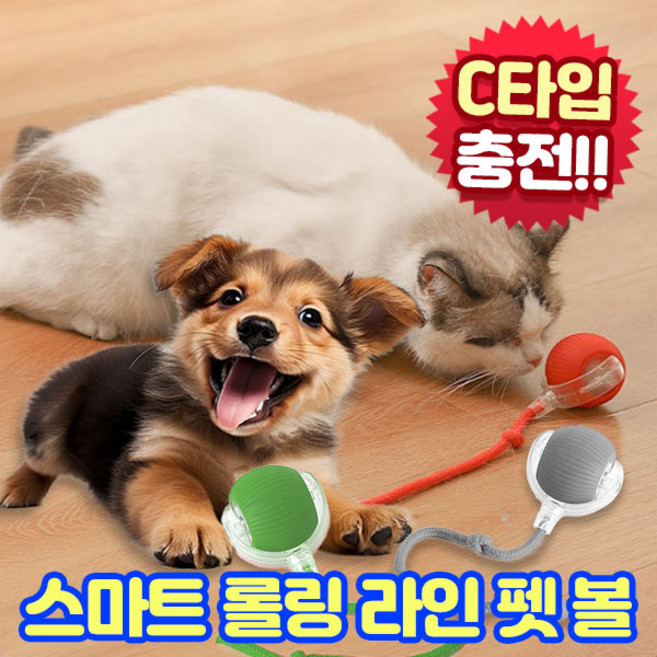 앤트앤비 스마트 롤링 라인 펫 볼 강아지 고양이 장난감, 1개, 그레이