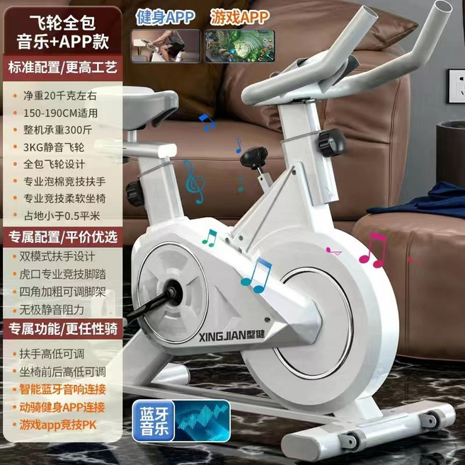 XING JIAN 型健 飛輪健身車 磁控動感單車 藍牙音樂APP遊戲互動款, 頂配款白/藍牙音樂/游戲互動PK