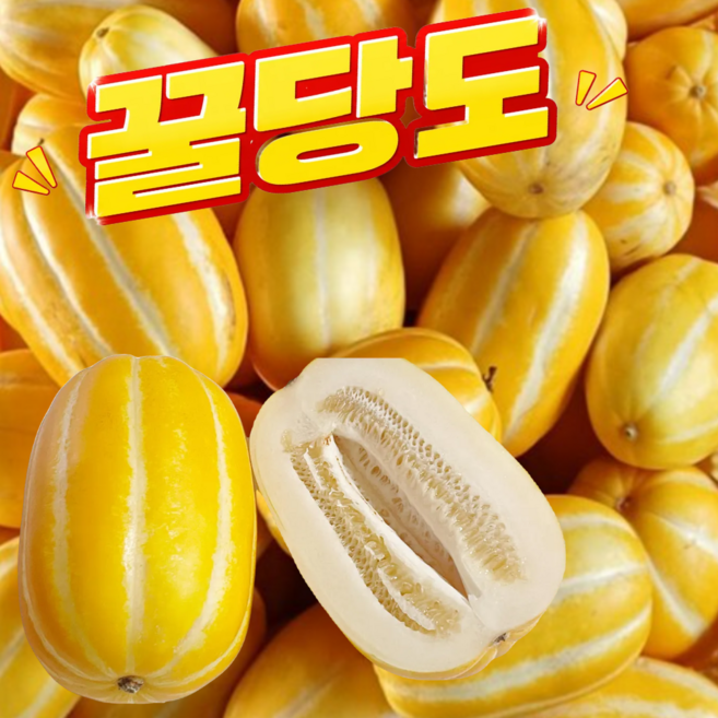 [고당도] 요즘과일 성주 꿀 참외 산지발송 가정용 랜덤과, 1박스, 5kg(가정용 랜덤과)