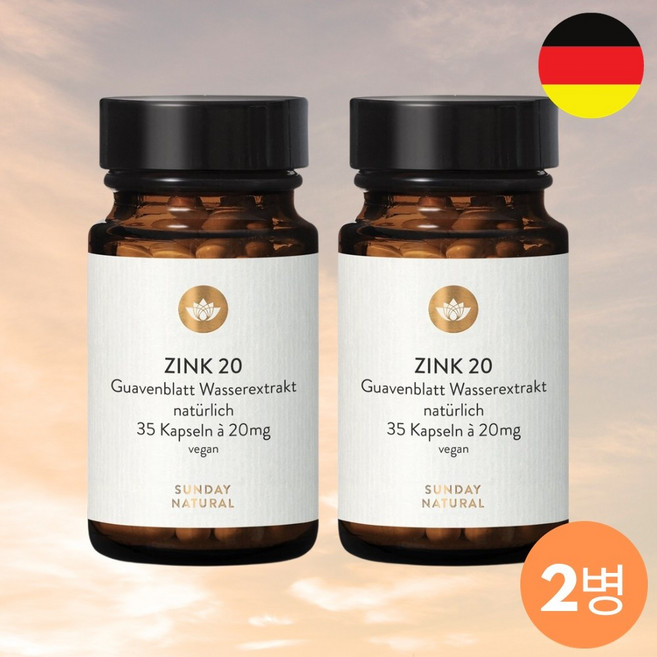 독일 구아바잎추출물 아연 항염 면역력 영양제 500mg 2병, 35정, 2개