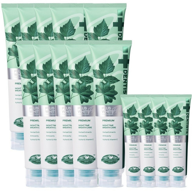 덴티스테 뉴 플러스화이트 프로 불소치약 200g 10개 여행용 20g 4개 충치 구취케어