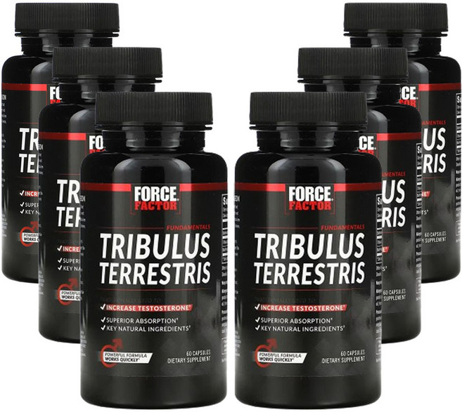 포스팩터 트라블러스 테러스트리스 테스토스론 부스터 60 캡슐, 6팩, 60정