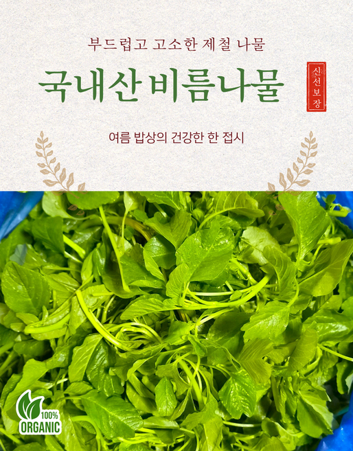 국내산 싱싱한 생 비름 비름나물 봄나물, 1kg, 1개