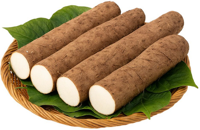 [재구매율1위] 안동 마사토 장마 햇 생마 산지직송 디아머스, 1개, 2kg (상품)