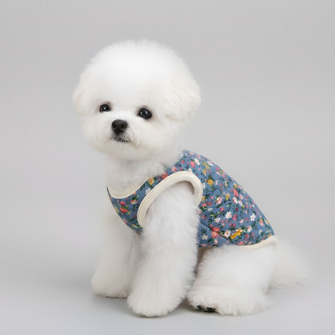 강아지 김장 조끼 겨울옷 하네스 패딩, 1개, 블루