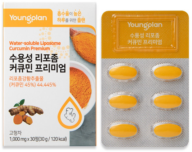 영진약품 수용성 리포좀 커큐민 프리미엄 바이오페린 식약청인증, 1개, 30정