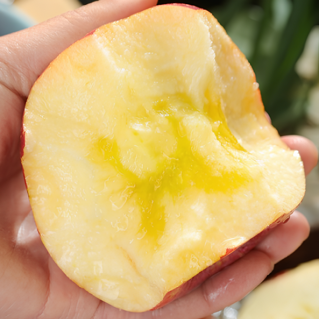 [맛에진심] 신선직송 꿀당도 부사사과 문경사과, 1박스, 3kg