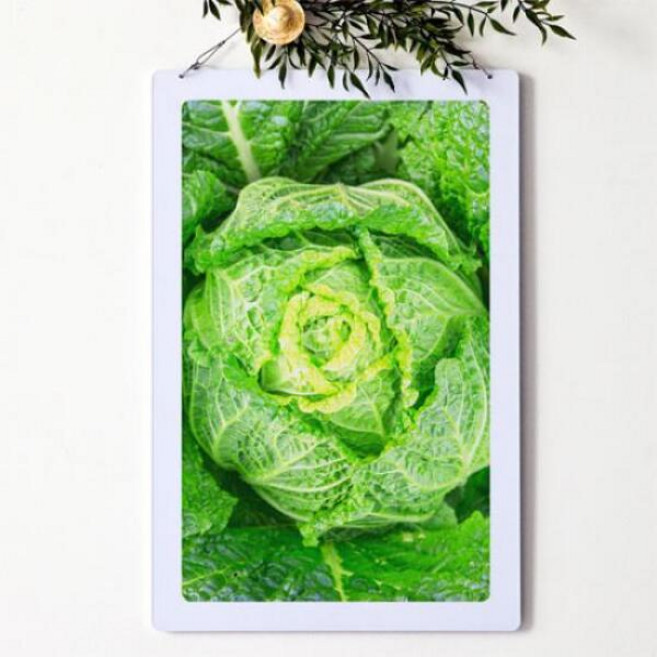 아트박스/꾸밈 nx897-행잉액자_배추도사무도사(사각세로대형), 타입1, 타입1