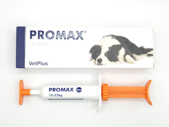 벳플러스 프로맥스 프로멕스 미디움 유산균 10-25kg, 1개, 18ml