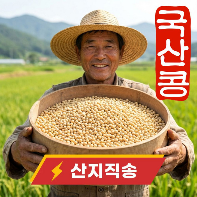 더맛곳간 국산 메주콩 대두콩 백태 콩 노란콩 두부콩 두유용 콩국수 콩, 1개, 10kg