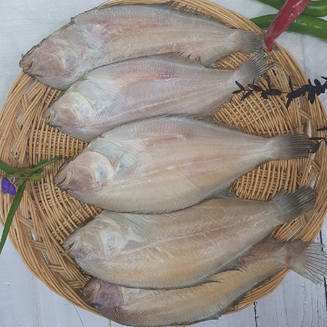 부산 반건조 생선 참가자미 반찬용 구이용, 1개, 특 3마리 (28cm 내외 / 500g 내외)