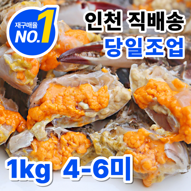 소담어반 서해안 활 생물 알배기 암꽃게 당일조업 산지직송, 1박스, 1kg(소자)