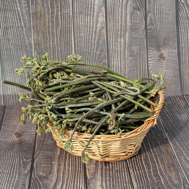 [농가 직송] 2026년 햇 고사리 국내산 생 고사리 국산고사리 국산생고사리, 1개, 1kg