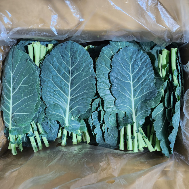 누리채소 신선 케일 쌈채소 쌈야채 샐러드야채, 1박스, 2kg