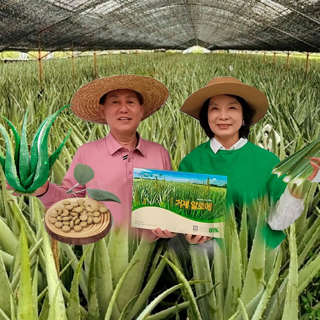 거제알로에-1박스[3통] 3개월분[5년이상키운친환경제품] 거제알로에농산, 90g, 3개