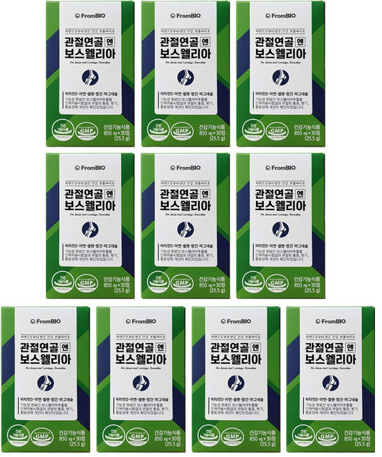 프롬바이오 이병헌 관절연골엔 보스웰리아 10박스 30정 5개월분, 10개