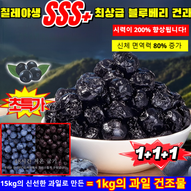 [1kg+1kg]칠레 야생 SSS+ 최상급 블루베리 건과 무설탕 블루베리 건과일 100% 프리미엄 건조 블루베리 /건블루베리, 9개, 100g/자루