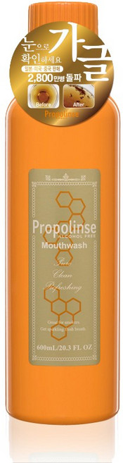 프로폴린스 프로 가글 대용량 600ml, 1개