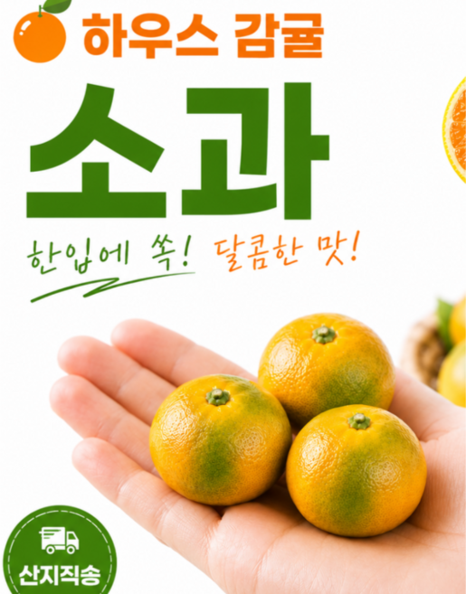 제주 하우스 감귤 소과, 1박스, 3kg