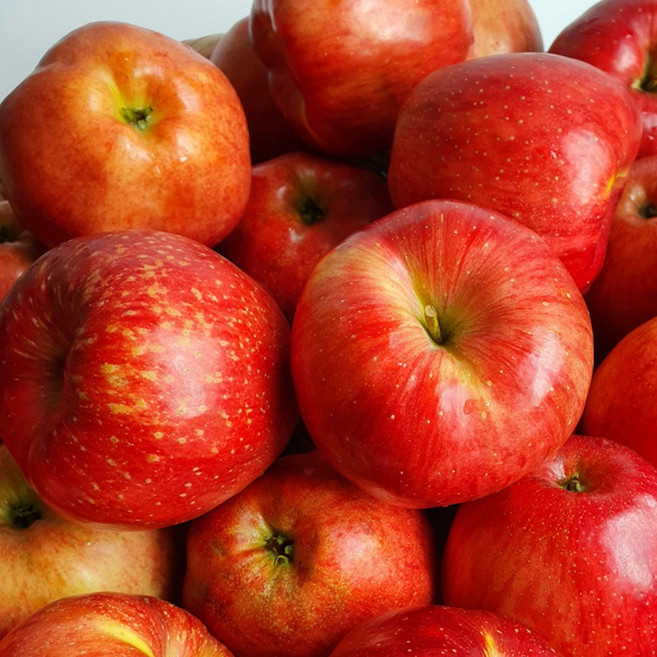 고당도 부사 사과 껍질째 먹는 경북 빨간사과, 1개, 2kg 소과 (13~16과)