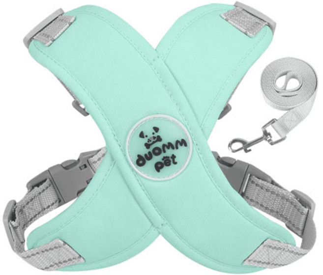 다이쓰음 반려동물 메쉬X 하네스, 1개, 민트