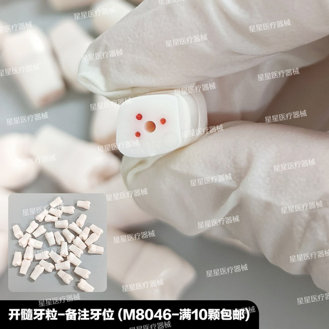 치과재료 가짜이빨 임시치아 28개 치과용 고정 치아 연습용 의치 나사 탈착식 개별 나사형 레진 타이포돈 모델, 스켈레톤 1개