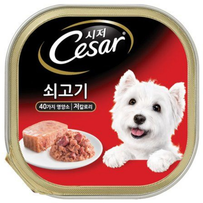 시저캔 강아지간식 습식간식 쇠고기 100g 강아지간식 습식간식 고기간식 통조림 강아지통조림+모티브코리아Shop, 빠른배송