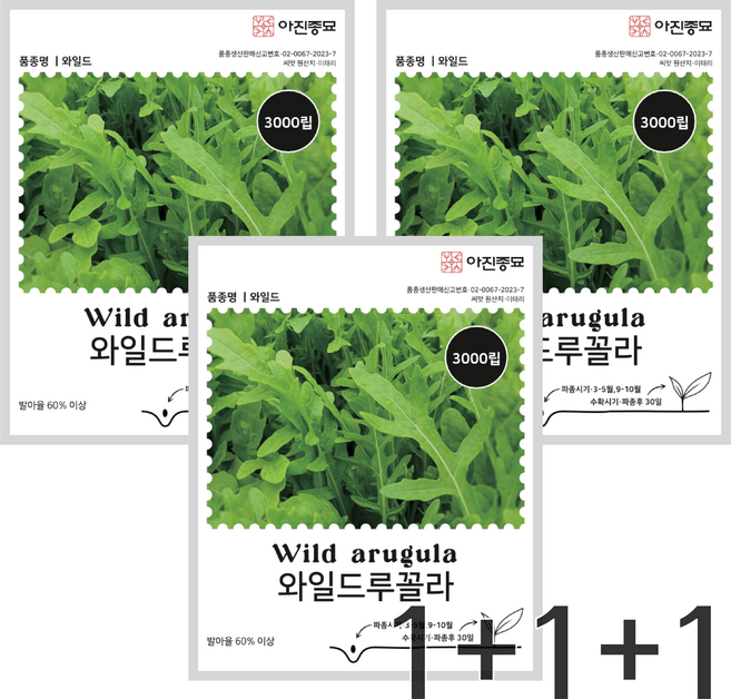 와일드루꼴라씨앗 3000립 3봉세트 이태리 인기채소 루콜라 종자 씨 향채소 씨앗, 3개