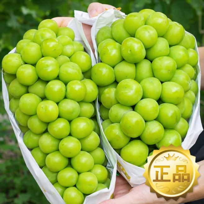 [3일특가] 씨없는 고당도 포도 샤인머스캣, 1박스, 2kg 당도선별