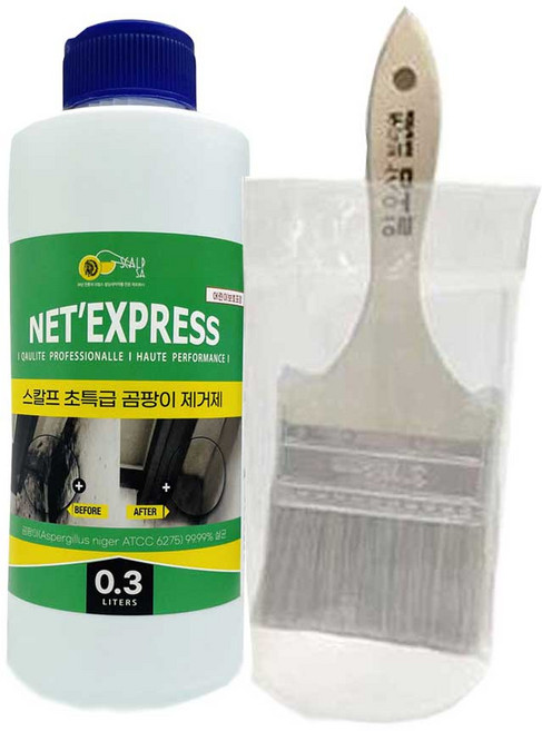 스칼프 곰팡이제거제 300ml +븟+소분컵, 1개