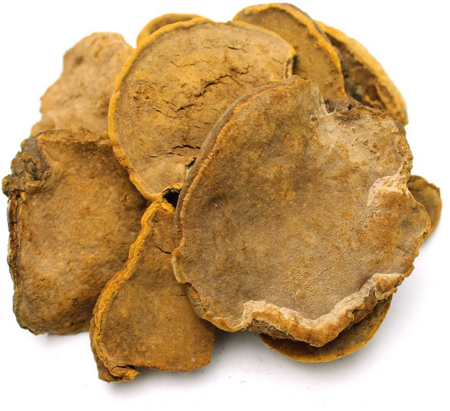 자연초 건조 상황버섯 250g, 1개