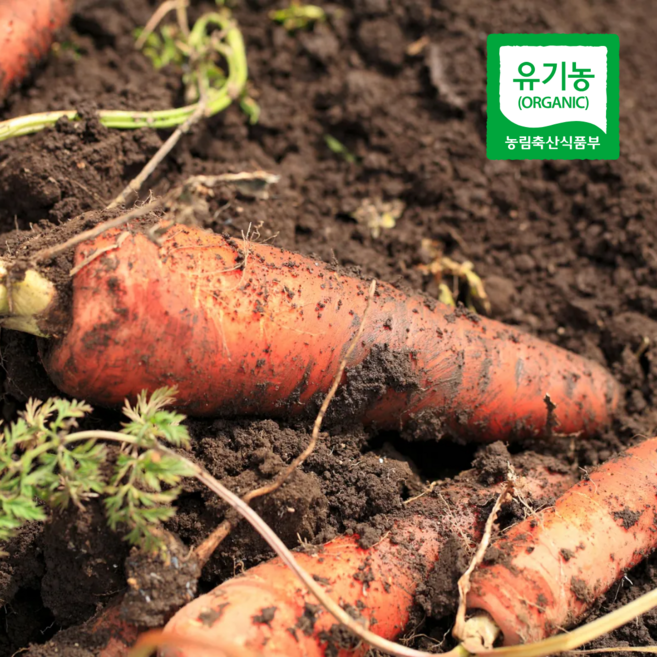 2026년 국내산 유기농 당근 1kg, 1세트