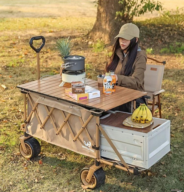 아동용 웨건 접이식 피크닉 폴딩카트 야외 캠핑 레저 키즈, 블랙 폴딩후면개방형 내장형L +10cm