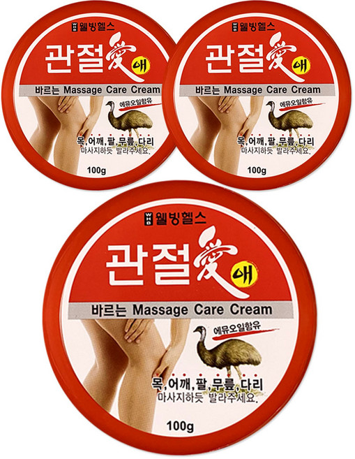 웰빙헬스팜 관절애 마사지크림, 100g, 3개