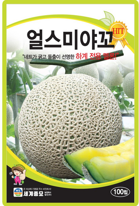 세계종묘 얼스미야꼬 멜론 씨앗 100립 하계 전용 멜론씨 종자, 4개